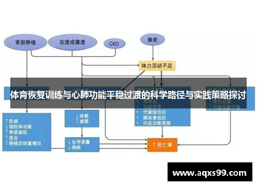 体育恢复训练与心肺功能平稳过渡的科学路径与实践策略探讨